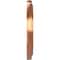 Ekena Millwork Traditional PVC Medallion (Canopies up to 5 1/2"), 10"OD x 3 1/2"ID x 1 1/8"P, Bright Coat Copper CMP10TRBCO - alternate 5